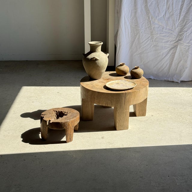 Petrified wood trinket dish or tray. Petrified wood is a fossilized wood (from the same family as magnolia) dating back 20...