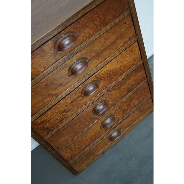 German Oak Apothecary Cabinet, Mid-20th Century For Sale - Image 10 of 17