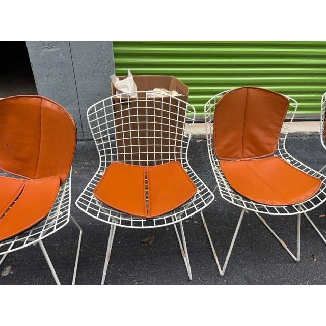 1960s Set of 6 Harry Bertoia for Knoll Wire Chairs Leather Cushions For Sale - Image 9 of 10