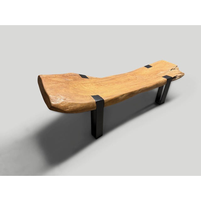 Contemporary Andrianna Shamaris Impressive Teak Wood and Metal Chaise or Bench For Sale - Image 3 of 18