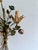 Italian Hand-Painted Tole Floral Bouquet Wall Sconce, 1940s For Sale - Image 17 of 18