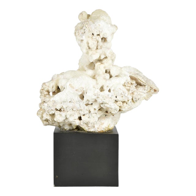 Calcite Concretion on Wooden Base For Sale