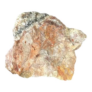 Natural Petrified Wood Specimen #4 For Sale