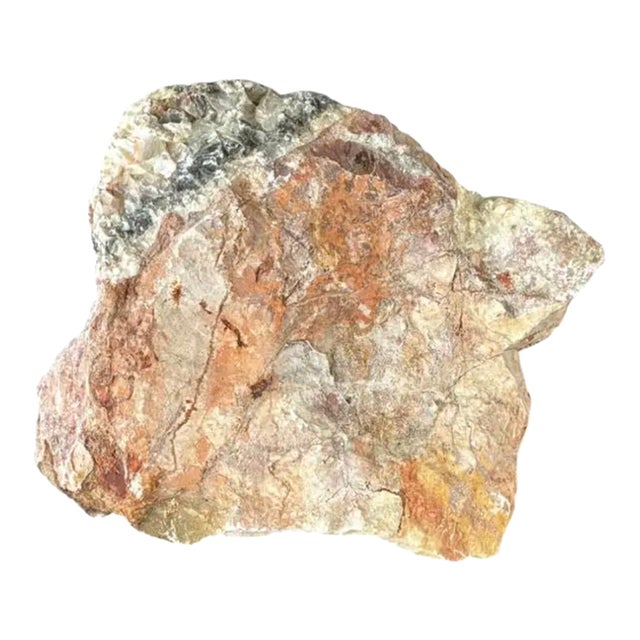 Natural Petrified Wood Specimen #4 For Sale