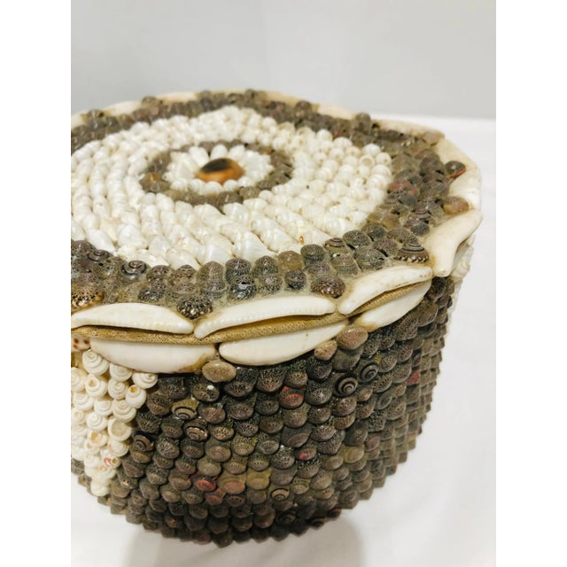 Early 20th Century Antique Handcrafted Cowrie Seashell Nesting Boxes - a Pair For Sale - Image 11 of 13