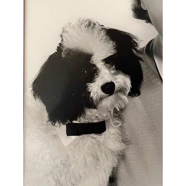 Vintage Hollywood Glamour Photograph Portrait of Connie Francis by Virgil Apger For Sale In New York - Image 6 of 9