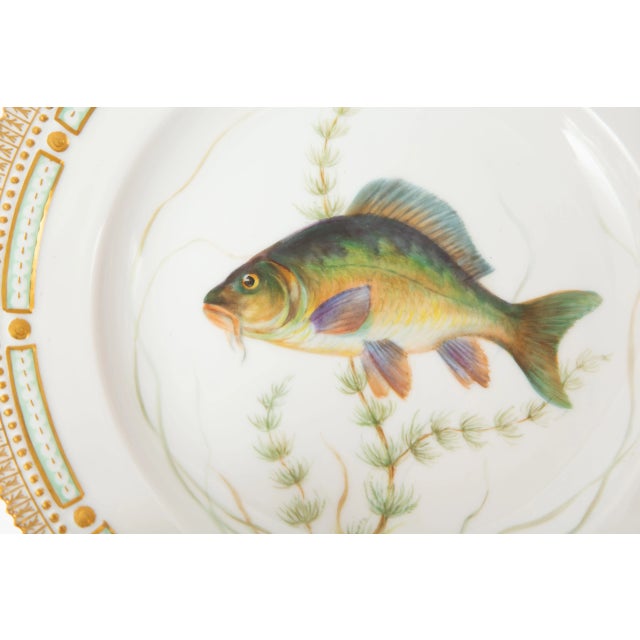 Ceramic Flora Danica Fish Plates, Vintage and Vibrantly Painted, Royal Copenhagen - Set of 12 For Sale - Image 7 of 13