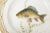 Ceramic Flora Danica Fish Plates, Vintage and Vibrantly Painted, Royal Copenhagen - Set of 12 For Sale - Image 7 of 13