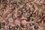 Shabby Chic 1990's Floral Pak-Persian Brown/Gray Wool Round Rug- 8'0'' X 8'3'' For Sale - Image 4 of 9