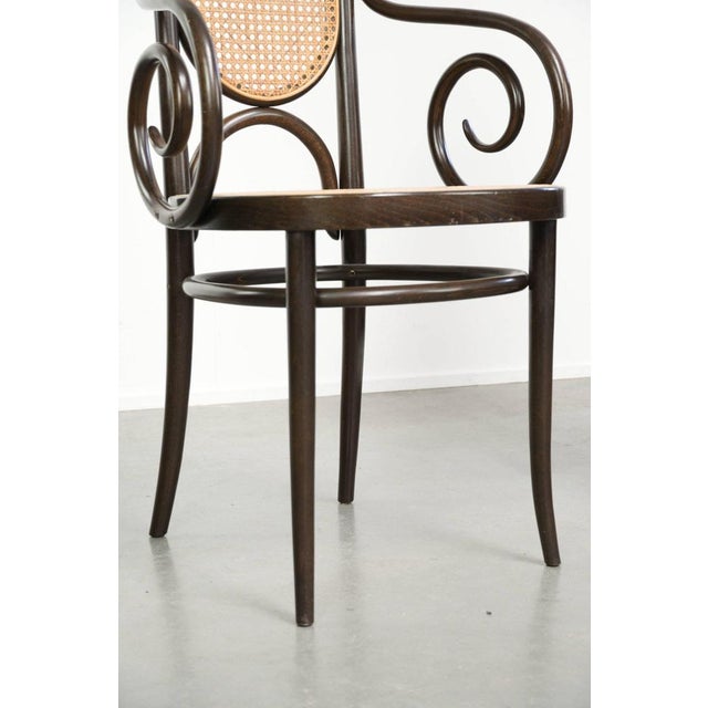 Vintage Long John High Back Armchairs in Curved Wood with Cane Seats from Thonet, Set of 2 For Sale - Image 10 of 13