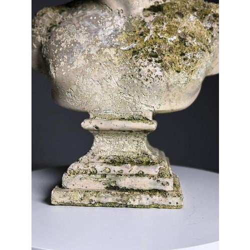 Bust of Hermes in Plaster For Sale - Image 15 of 18