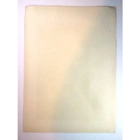 T. A. Steinlen, Window Shopping From Les Maîtres De l'Affiche 1898, Original Lithograph For Sale - Image 4 of 6