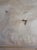 Vintage 1975 Paris School Impressionist Oil Painting of the Seine, Signed For Sale - Image 4 of 9