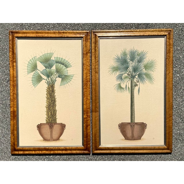Vintage Coastal Palm Printed - A Pair For Sale - Image 9 of 12