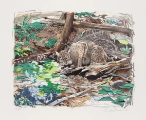 Everett Hibbard, Adirondack Bobcat, Lithograph