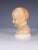 Tuscan Artist, Head of the Infant Jesus (Bambino Gesù), 1790, Polychrome Stucco For Sale - Image 4 of 14