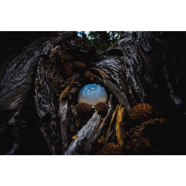 This artwork presents a serene glimpse into the heart of a gnarled tree, where a delicate sphere reflects a tranquil sky,...
