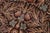 1990s Shabby Chic Botanical 1990's Pak-Persian Brown/Gray Wool Round Rug - 6'2'' X 6'3'' For Sale - Image 5 of 9