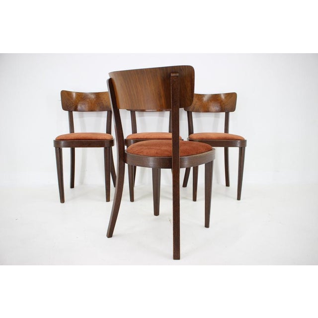 Dining Chairs, Former Czechoslovakia, 1940s, Set of 4 For Sale - Image 9 of 15