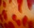 Late 20th Century Italian Tortoiseshell Art Glass Vase For Sale - Image 12 of 12