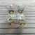 Vintage Horse and Carriage Bullicante Cordial Glasses- Set of 4 For Sale - Image 9 of 10