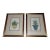 Antique 18th Century Johann Wilhelm Weinmann Folio Size Framed Hand Colored Mezzotints "Aloe Africana" - A Pair For Sale