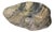 Chinese Shewen Meditation Stone For Sale