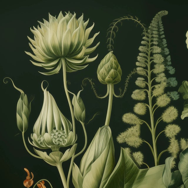 This fine art print reproduces a beautifully detailed 19th-century botanical illustration depicting an elegant arrangement...
