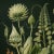 This fine art print reproduces a beautifully detailed 19th-century botanical illustration depicting an elegant arrangement...