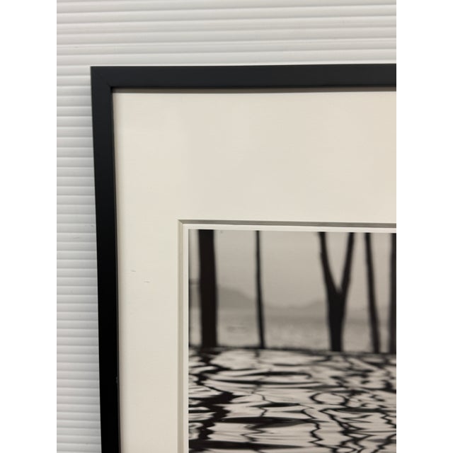 Paper Michal Venera Twigs and Water Black & White Photograph, Framed For Sale - Image 7 of 12