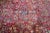 Antique Sarouk Rug 9'1'' X 12'0'' For Sale - Image 9 of 10