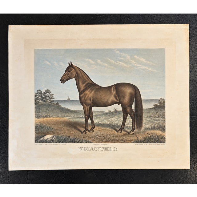 American Volunteer, the Great Sire of Trotters — Original Hand-Colored Horse Engraving by John Cameron, C. 1880 For Sale - Image 3 of 4