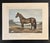American Volunteer, the Great Sire of Trotters — Original Hand-Colored Horse Engraving by John Cameron, C. 1880 For Sale - Image 3 of 4