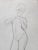 Original Vintage Art Nouveau Nude Figural Drawing by Charles Sheldon For Sale - Image 4 of 6