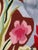 Modern French Aubusson Tapestry by Michèle Ray Vif Dargent, 1950s For Sale - Image 9 of 18