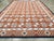 Galerie Shabab Collection Mid-20th Century Handmade Indian Dhurrie Large Room Size Carpet in Terracotta For Sale - Image 4 of 10