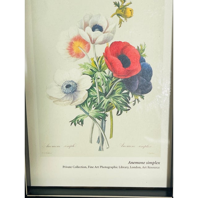 Lovely Chromolithograph P.F.Redoute of Anemones bouquet, framed in mini black frame.