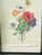 Lovely Chromolithograph P.F.Redoute of Anemones bouquet, framed in mini black frame.