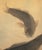 1900-1940s Large Japanese Silk Scroll Painting "Two Carps", Signed and Sealed For Sale In Dallas - Image 6 of 15