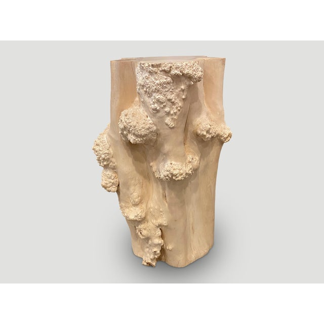 Andrianna Shamaris Rare Bleached Teak Root Pedestal For Sale In New York - Image 6 of 18