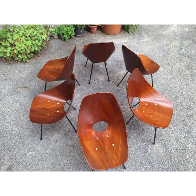 Chairs by Vittorio Nobili for Medea, 1950s, Set of 6 For Sale - Image 14 of 14