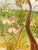 Paint Mid 20th Century Arturo Alcala Mexican Folk Art Painting – Landscape With Birds, Deer, Elephants, Toucans, & Wildlife For Sale - Image 7 of 15