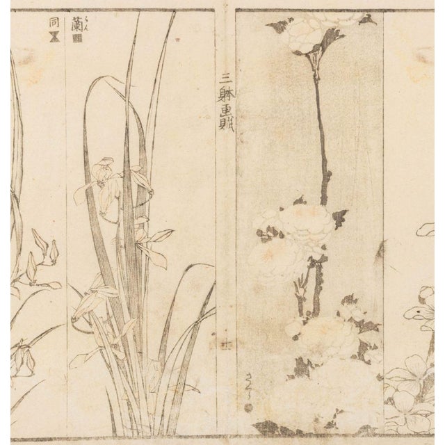 Green Japanese School Botanical Woodblock Prints, 3 For Sale - Image 8 of 17