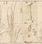 Green Japanese School Botanical Woodblock Prints, 3 For Sale - Image 8 of 17