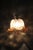Large Murano Glass Pendant Light, Italy, 1980s For Sale - Image 10 of 12
