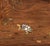 Set of Four French Japonisme Quartetto Tables For Sale - Image 10 of 17