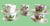Renowned English Porcelain Company Shelley Spring Flowers Tea Cups and Saucers SET of 6 All delicate bright white...