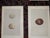 Antique 19th Century Hand Colored Birds of Prey Egg Lithographs - Set of 9 For Sale - Image 9 of 11