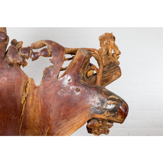 Vintage Chinese Hand Crafted Camphor Wood Root Chair with Light Varnish For Sale - Image 11 of 12