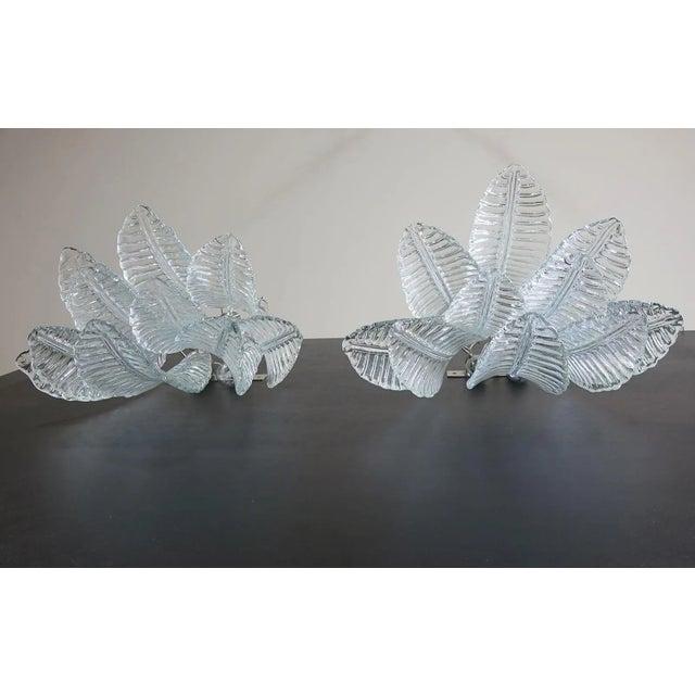Pair of Murano Six-Tier Felci Wall Sconces - 10 Glasses For Sale In Los Angeles - Image 6 of 9